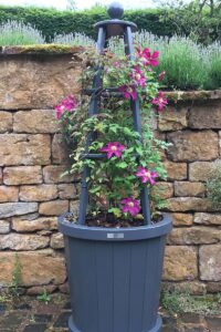 Oriel wooden garden obelisk from Oxford Planters