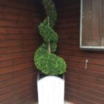 white pembroke planter width spiral shrub