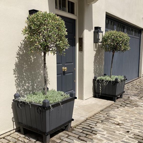 Bespoke tapered Accoya wooden planters painted charcoal grey with decorative metal straps and olive trees outside a London mews property.