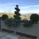 Hertford Trough Planter in Accoya