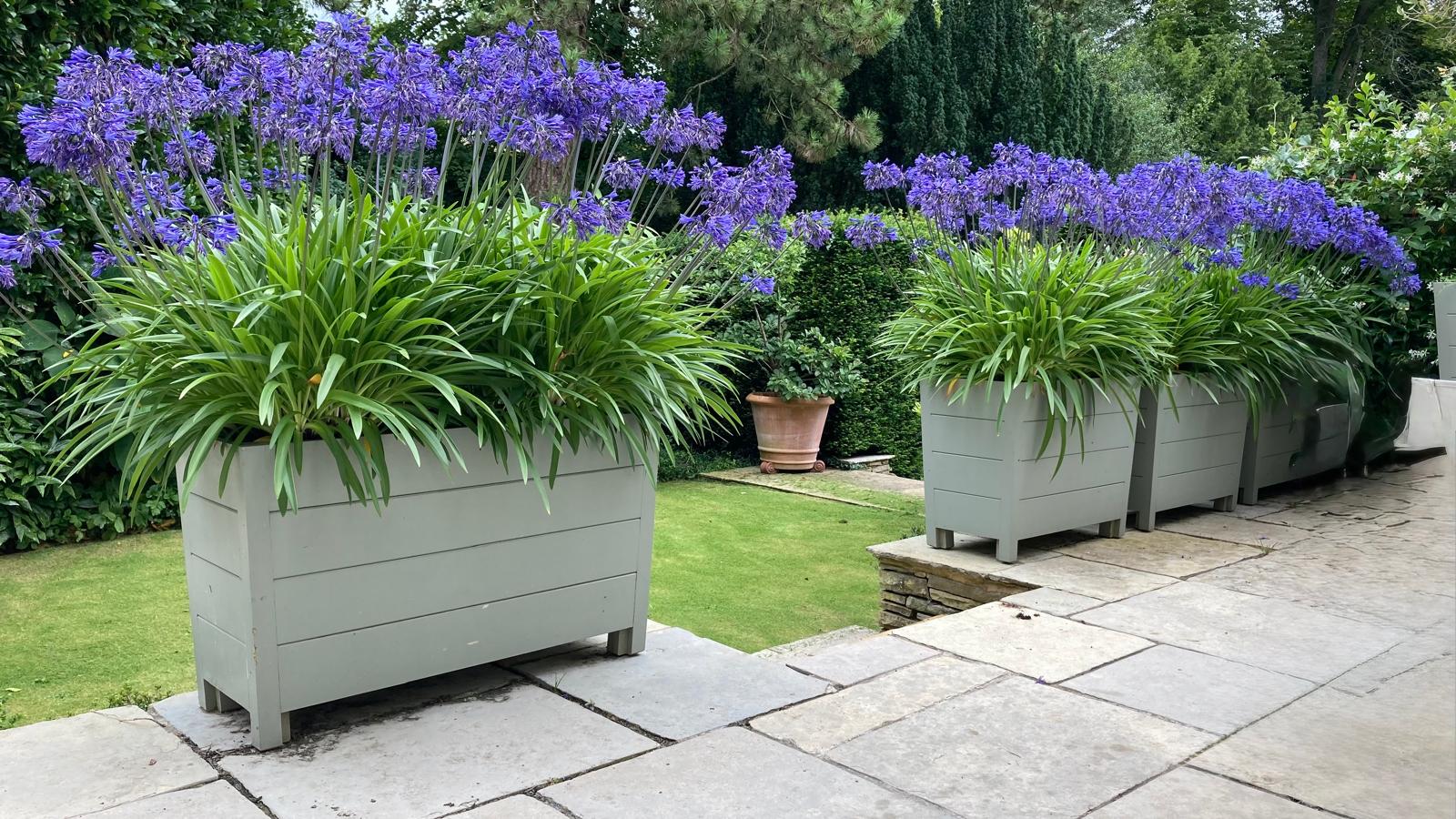 Wooden Trough Planters for Gardens, Terraces & Entrances