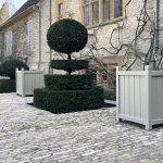 Luxury sage green painted wooden Versailles tree planters set on a cobbled heritage terrace alongside topiary yew trees.