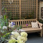 Natural oak garden bench with scrolled arms displayed in front of a framed wooden trellis panel and blooming hydrangeas