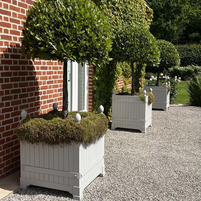 Accoya Versailles Orangery Planter Churchill Versailles planter with topiary trees