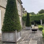 Over 10-year-old Hertford wooden planters with naturally weathered timber, planted with mature conical topiary trees on the terrace of a private country estate.