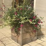 Handcrafted cube timber planter box with slatted paneling.