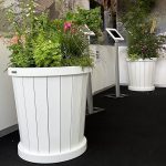 Modern cylindrical Accoya wooden planters at the RHS Chelsea Flower Show