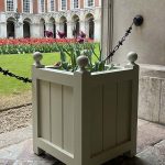Traditional painted wooden Hertford planter at Hampton Court Palace during the annual Tulip Festival.