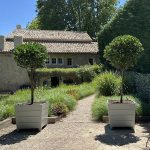 Large tapered bespoke wooden Versailles planters at a property in France