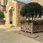 Oak woven lattice wooden planter with specimen tree at a private Surrey estate
